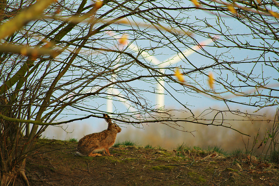 warten auf ostern