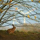 warten auf ostern