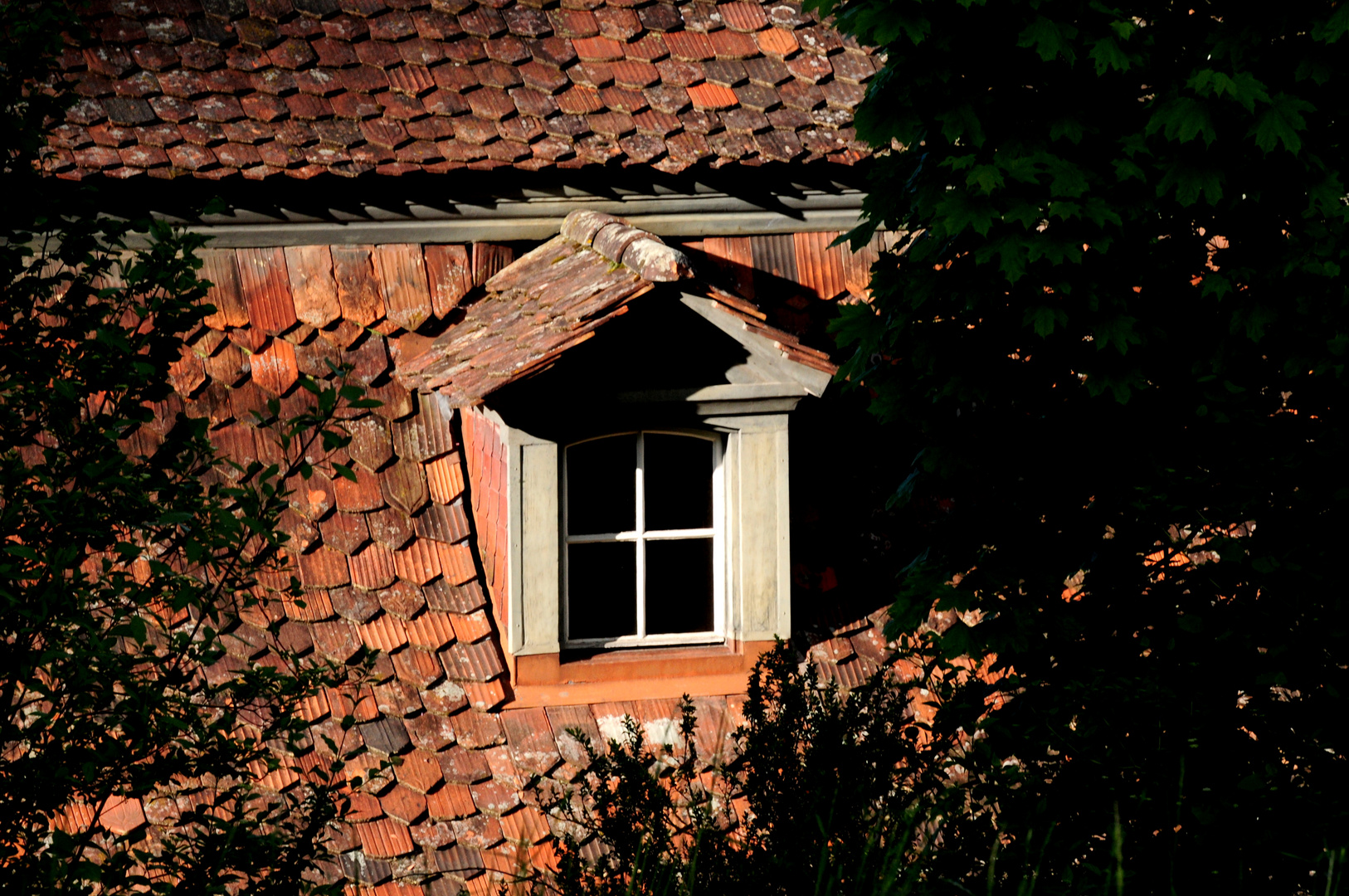 Warten auf Rapunzel