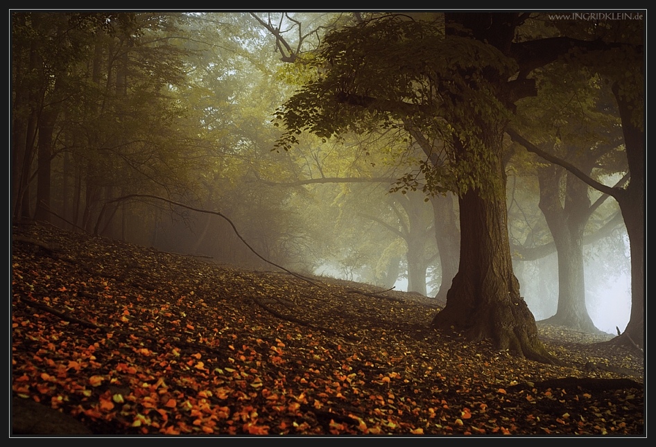 Warten auf Samhain