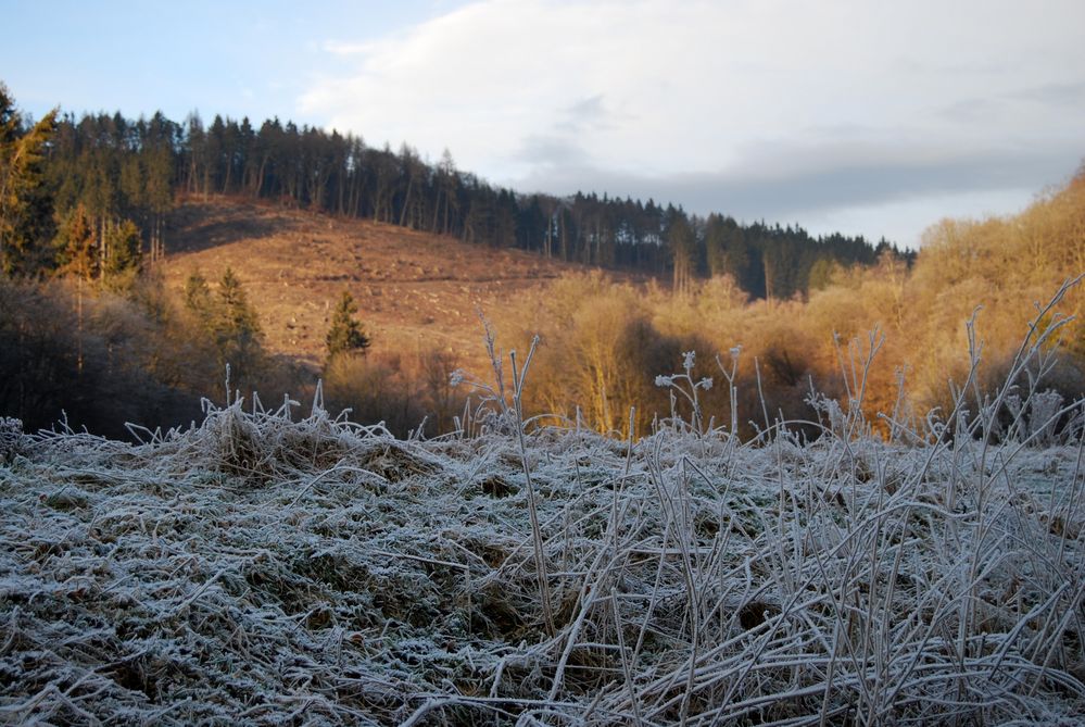 Warten auf Schnee