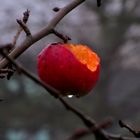 Warten auf Tauwetter