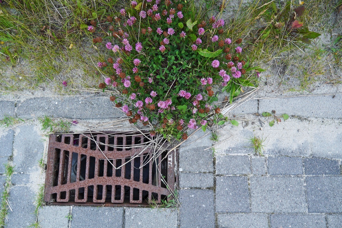 Warten Auf Wasser