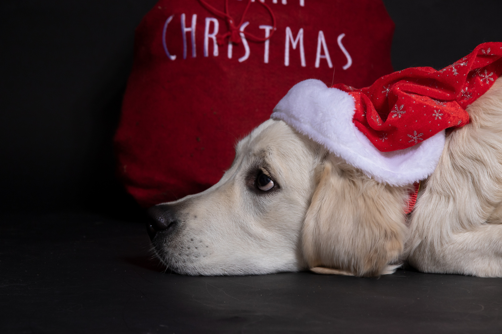 'Warten auf Weihnachten.