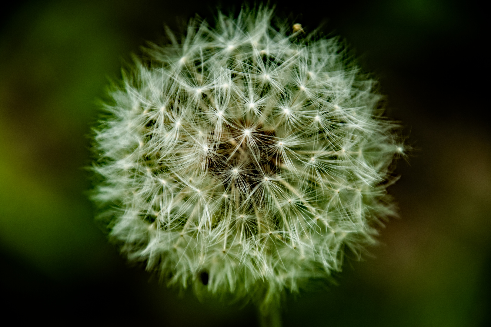 Warten auf Wind