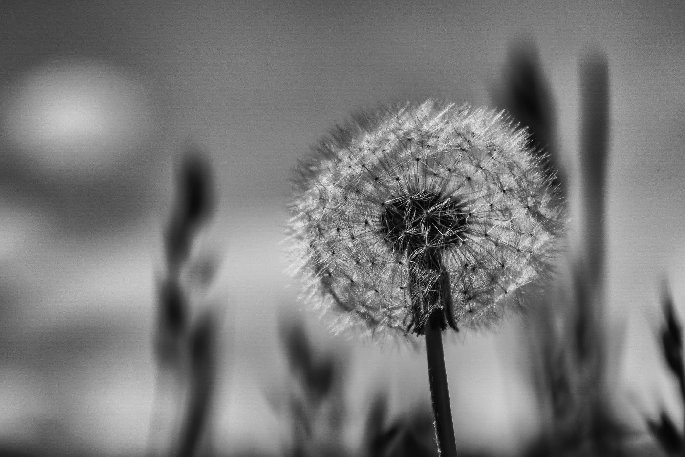 Warten auf Wind