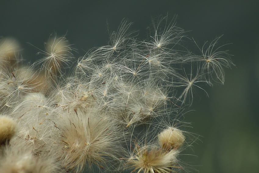 Warten auf Wind