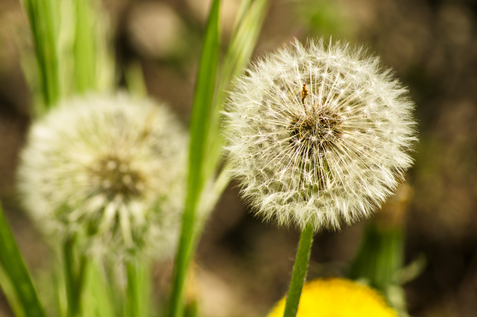 __warten auf Wind