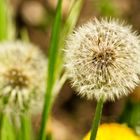 __warten auf Wind