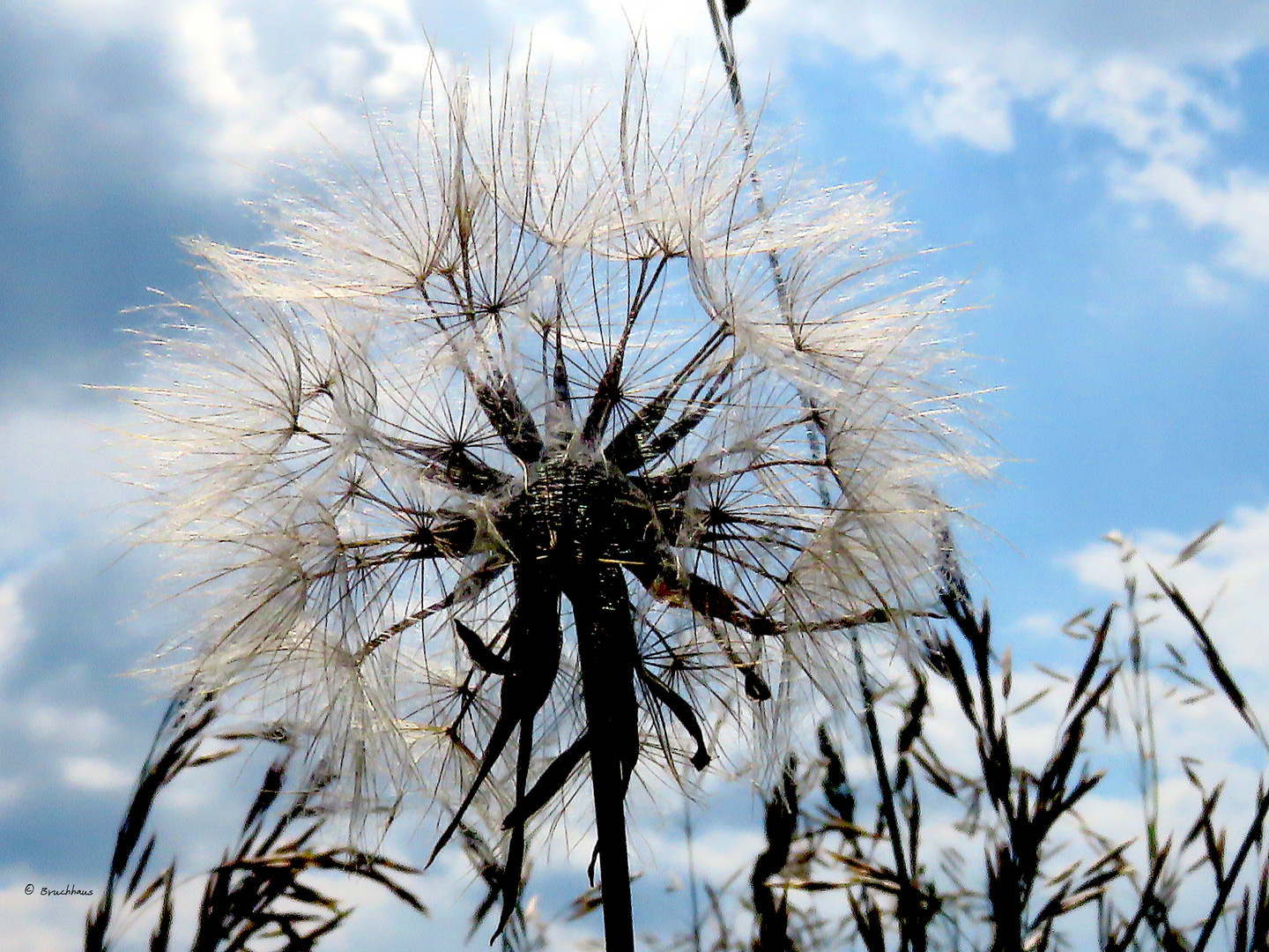 warten aufden Wind