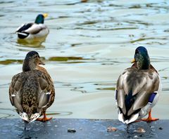 Warten auf´s bessere Wetter