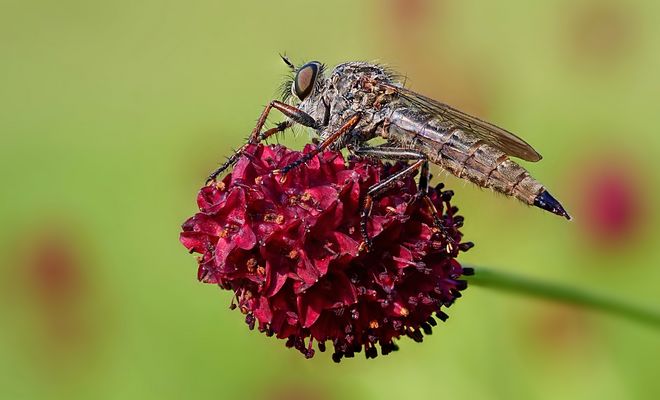 Warten aufs Frühstück
