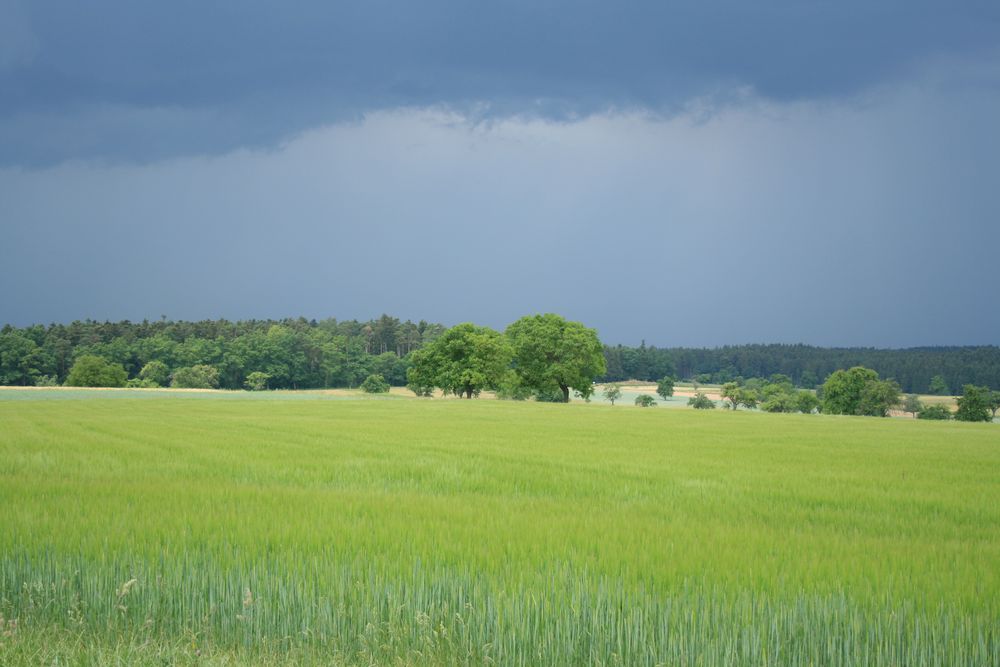 Warten aufs Gewitter von A.René 