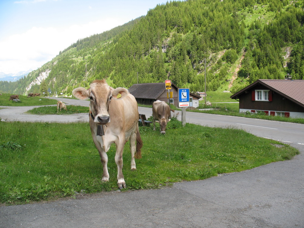 Warten aufs Postauto?