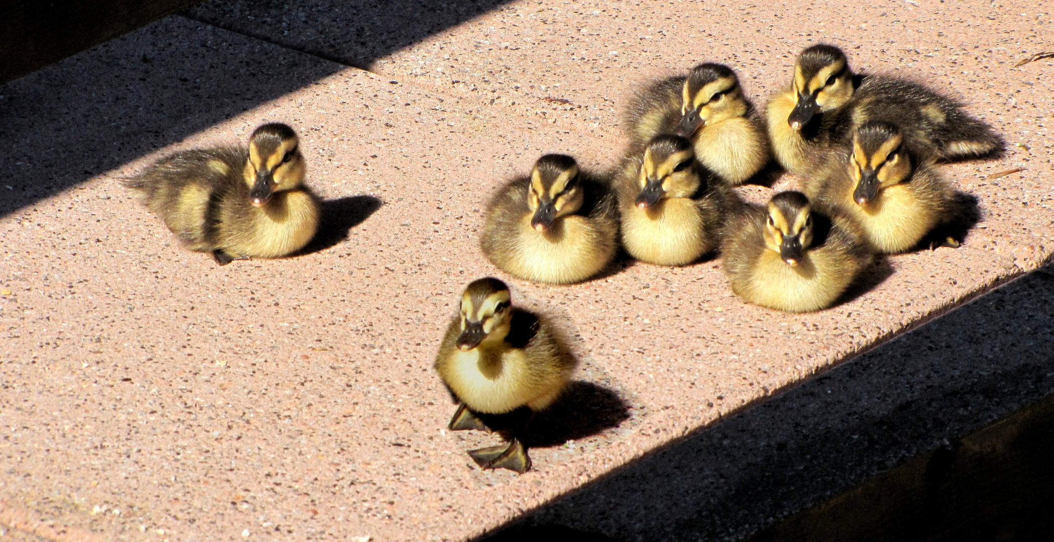 Warten bis alle da sind