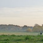 Warten bis der Nebel aufsteigt