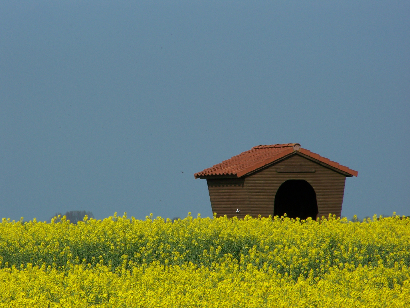 Warten im Raps