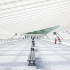 Warten in Liège-Guillemins