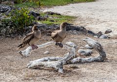 Warten , noch immer im Kindergarten.     DSC_0284-2