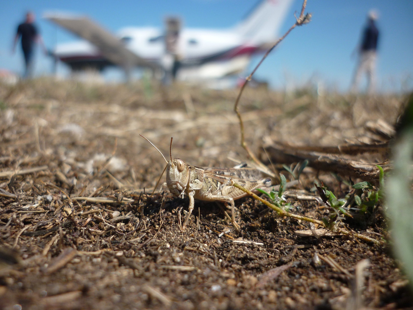 Warten vor einem Flugzeug