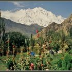 Warten vor imposanter Kulisse, Rakaposhi 7788 m , Hunza, Pakistan