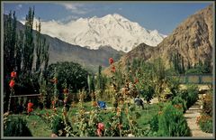 Warten vor imposanter Kulisse, Rakaposhi 7788 m , Hunza, Pakistan