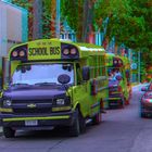 Wartende Schulbusse in Toronto 3-D