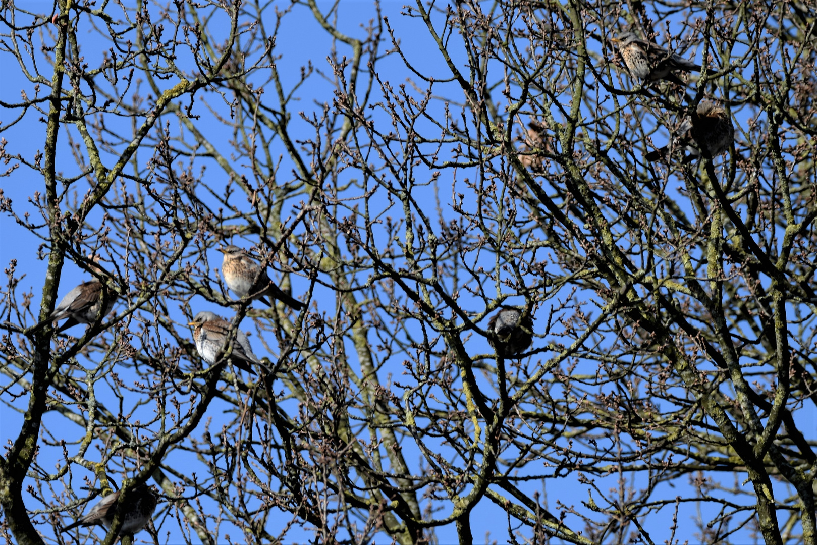 Warteschleife Foto & Bild tiere, wildlife, wild lebende vögel Bilder