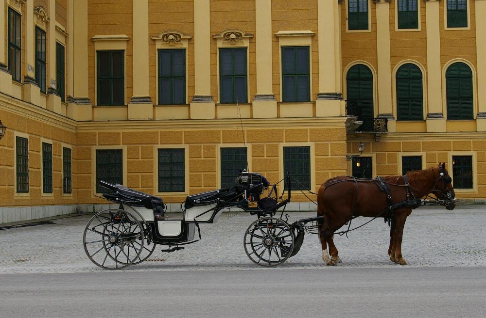 Wartezeit vor " Schloß Schönbrunn " in Wien..........