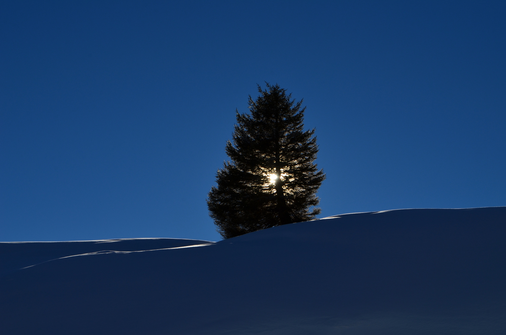 Warth, Österreich