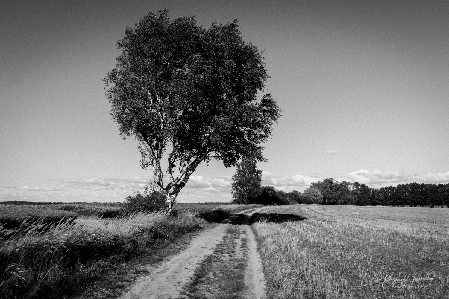 Warthe, Lieper Winkel, Usedom