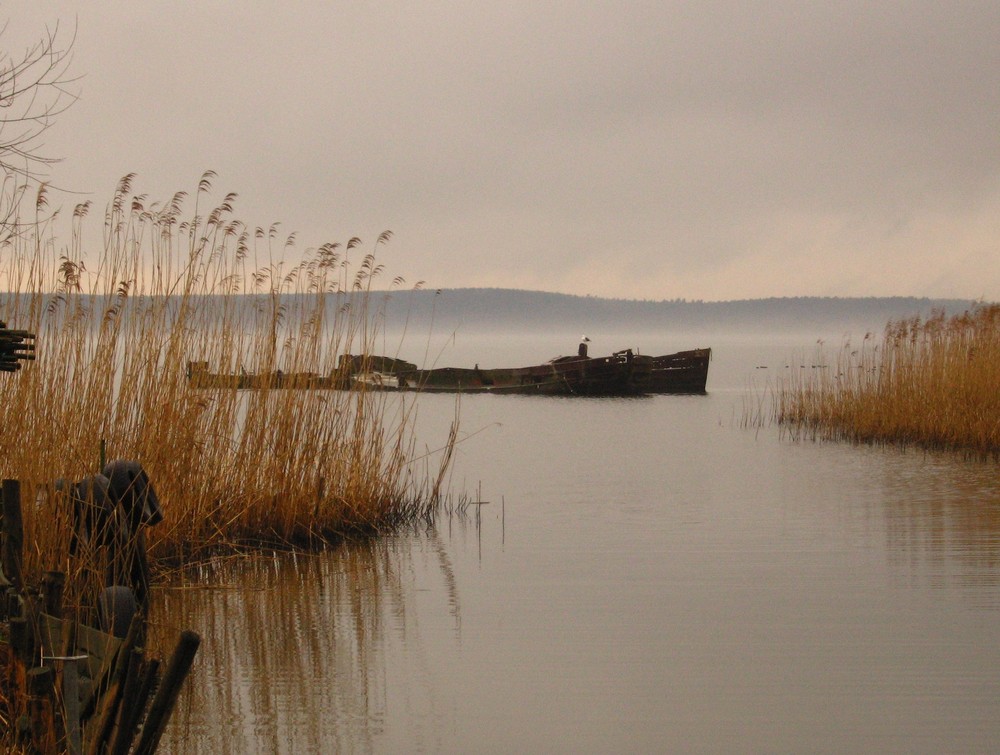 Warthe (Usedom)