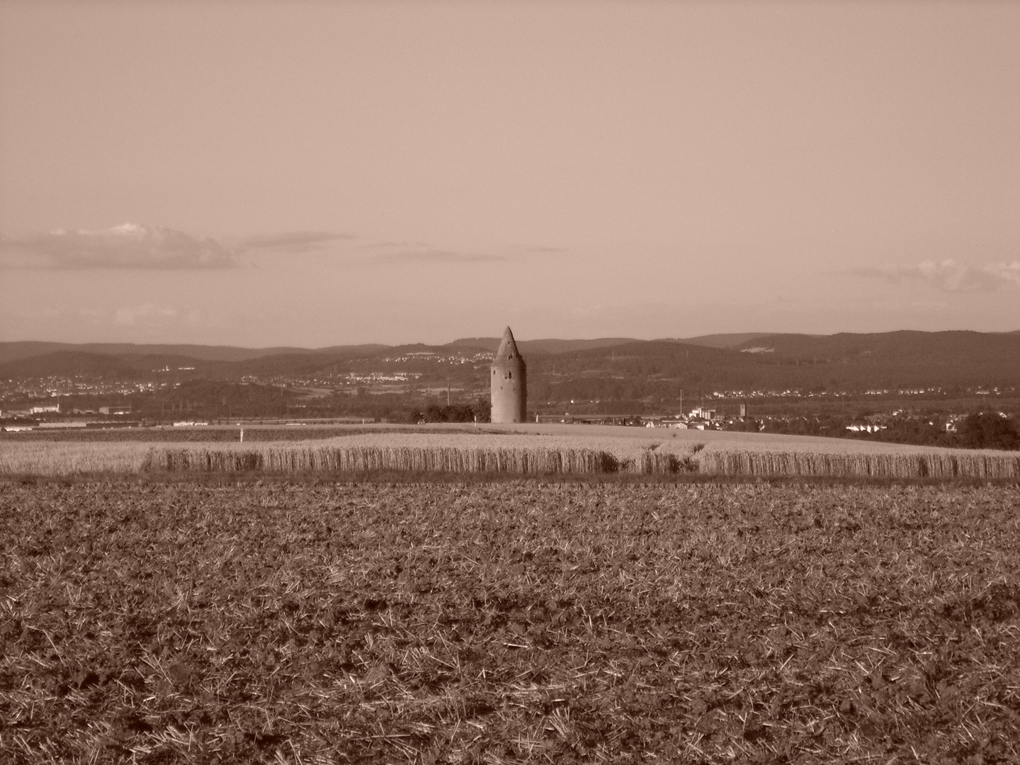 Wartturm bei Schaafheim-Radheim