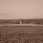 Wartturm bei Schaafheim-Radheim