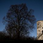 Wartturm im Vollmond II