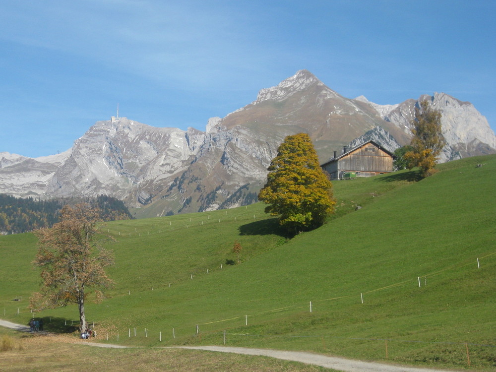 Warum denn in die Ferne schweifen ? .....