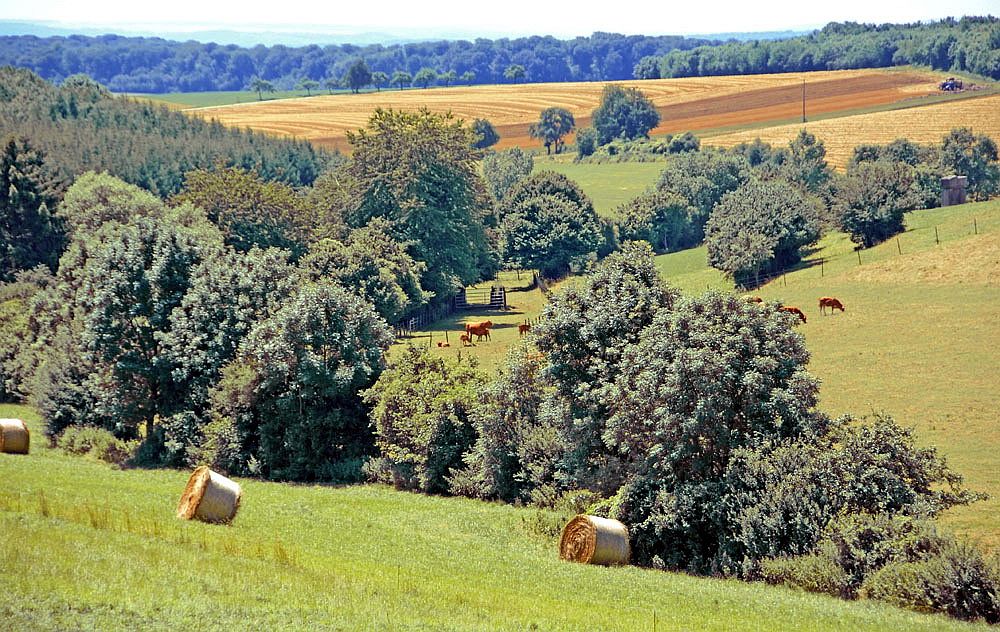 Warum denn ins Allgäu fahren....