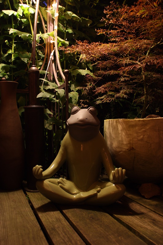 Warum der Frosch kein Buddhist ist und trotzdem von der Reinkarnation träumt