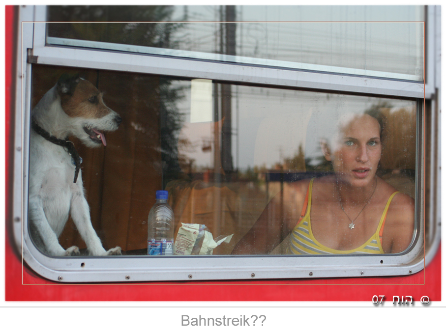 Warum geht es nicht weiter??? Streikt die Bahn?? Foto & Bild | tiere