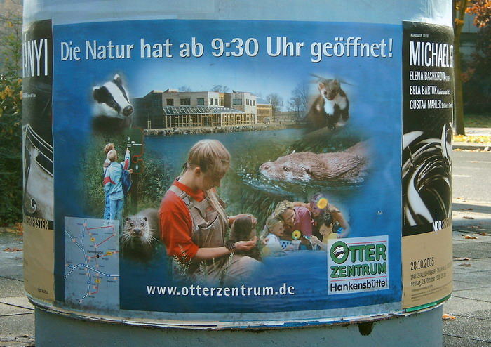 Warum Bild Heute Keine Bilder Druckt Warum Bild Heute Keine Bilder Druckt