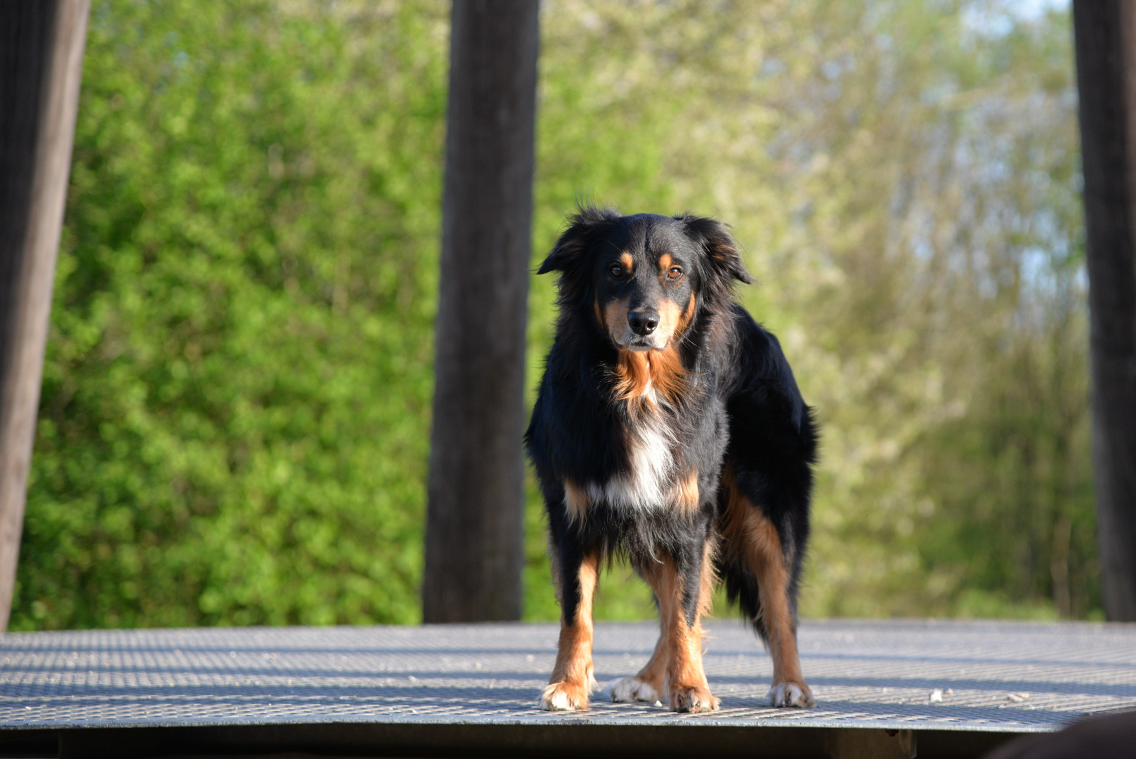 "Warum guckst Du?"