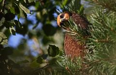 "Warum guckt die mich so SCHIEF an ..."