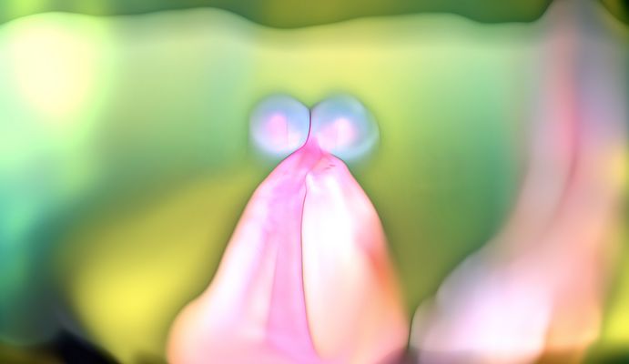 warum hast du so große augen ...