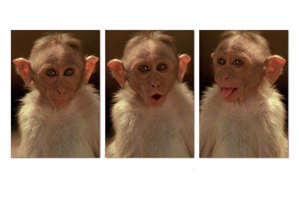 Warum hast du so große Ohren ? ... :-)