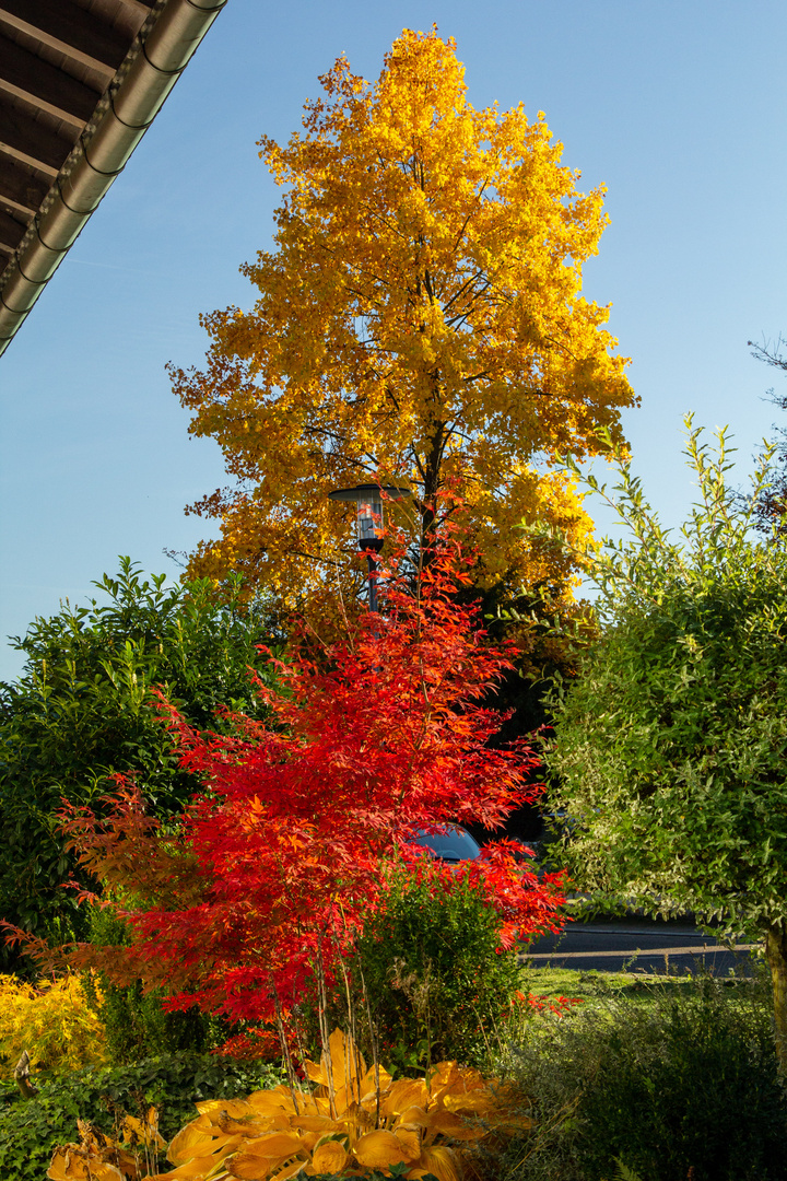 Warum ich den Herbst so liebe...