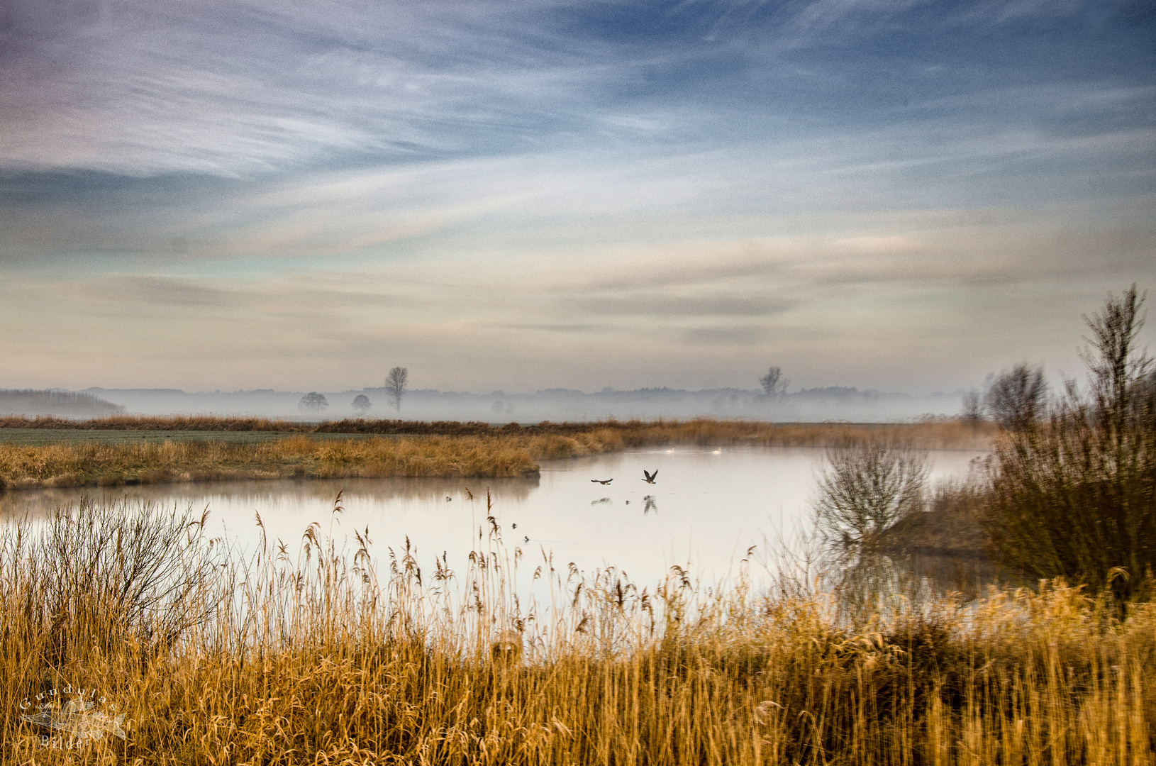 Warum in die Ferne schweifen&hellip;. Foto &amp; Bild natur, see, landschaft Bilder auf