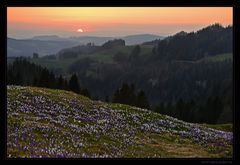 Warum in die Ferne schweifen?