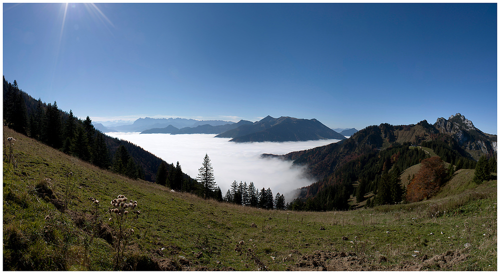 warum in die Ferne schweifen?