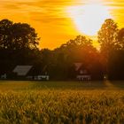 Warum in die Ferne schweifen?