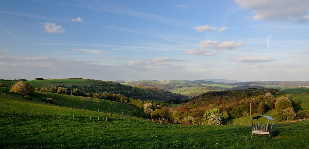 Warum in die Ferne schweifen, wenn das Gute liegt so nah, die Pfalz in der Abendsonne.